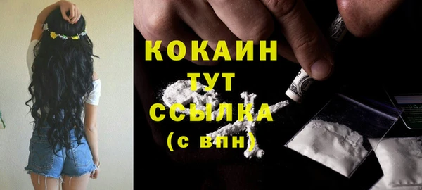 Альфа ПВП Богородицк