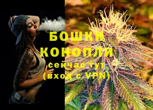 Альфа ПВП Богородицк