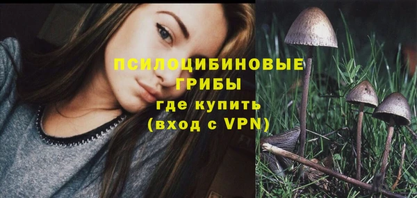 винт Богородск