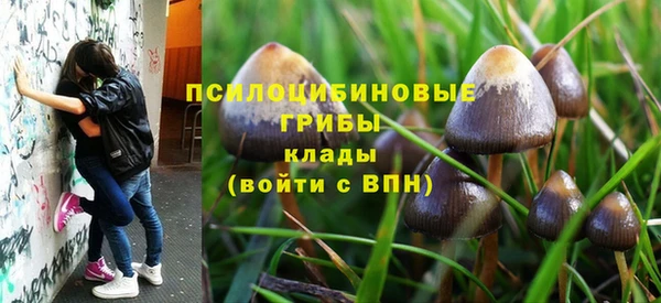 Альфа ПВП Богородицк
