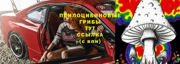 индика Беломорск
