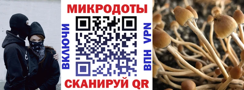 Галлюциногенные грибы Cubensis  закладка  Хабаровск 