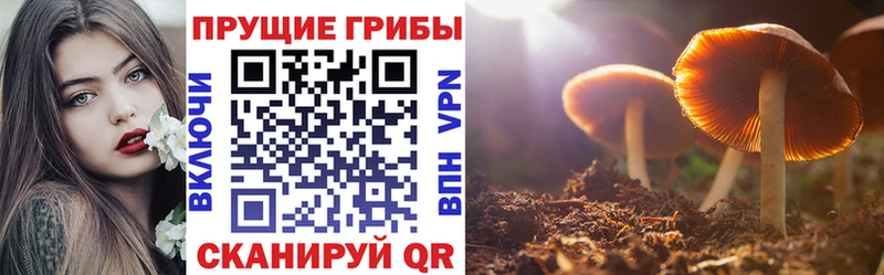 Галлюциногенные грибы прущие грибы Хабаровск